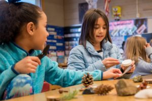 Ecology in Classrooms & Outdoors