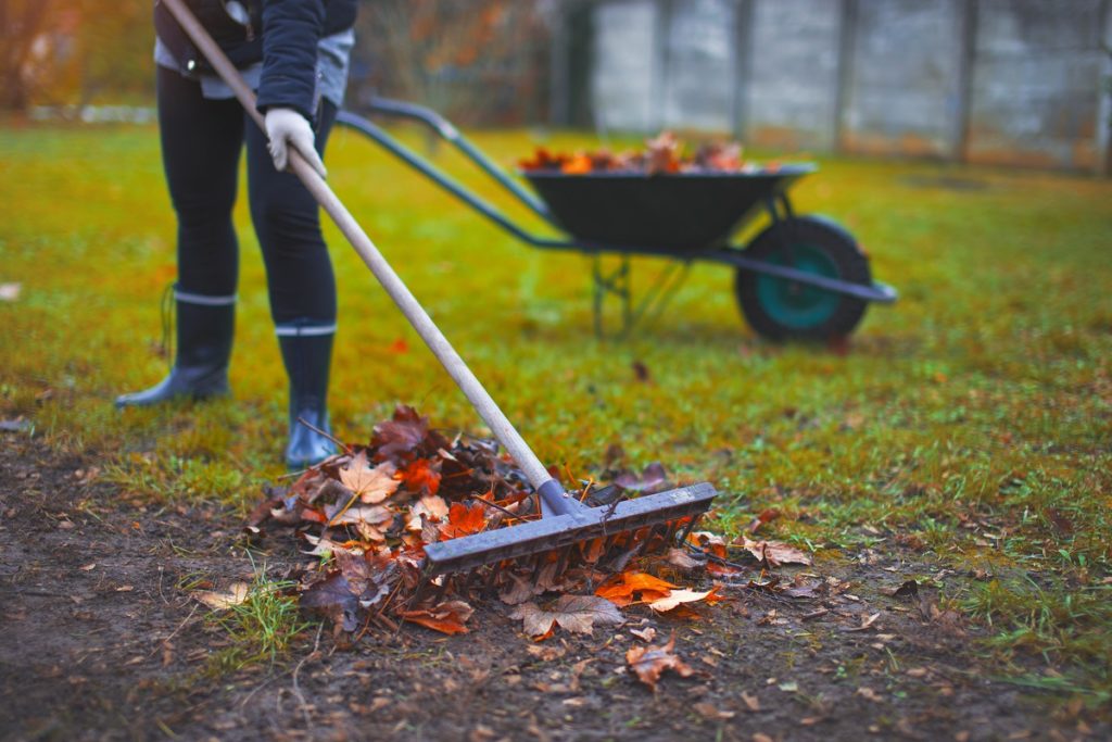 Fall yard work