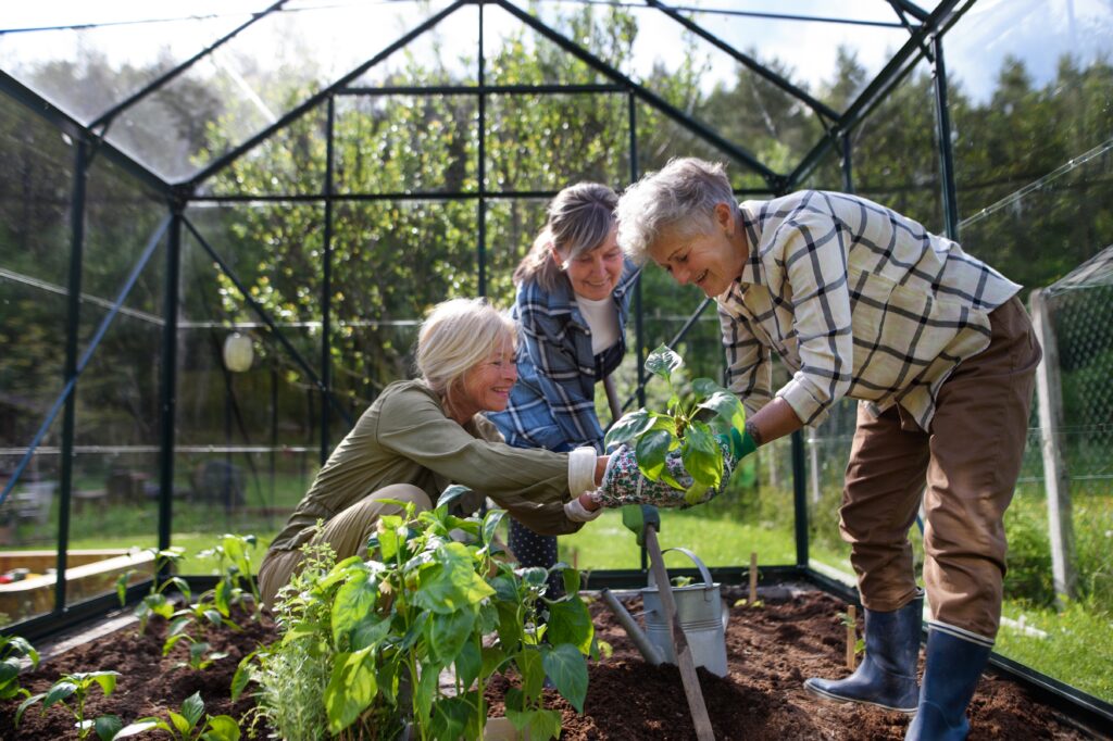 three senior women work together in a lush garden.