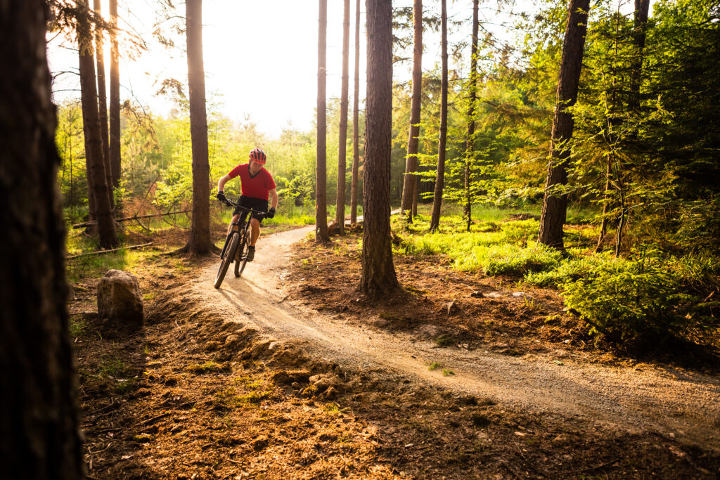 Male cyclist riding a bycicle in a green forest on a sunny day