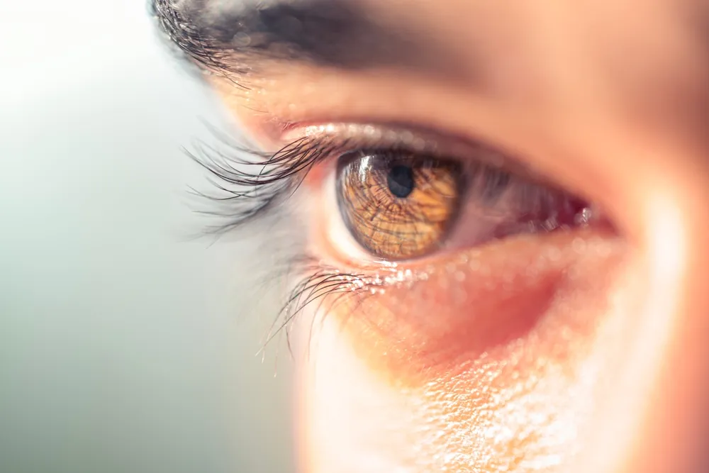 close up image of a brown eye with eyelashes.