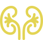 Internal Medicine